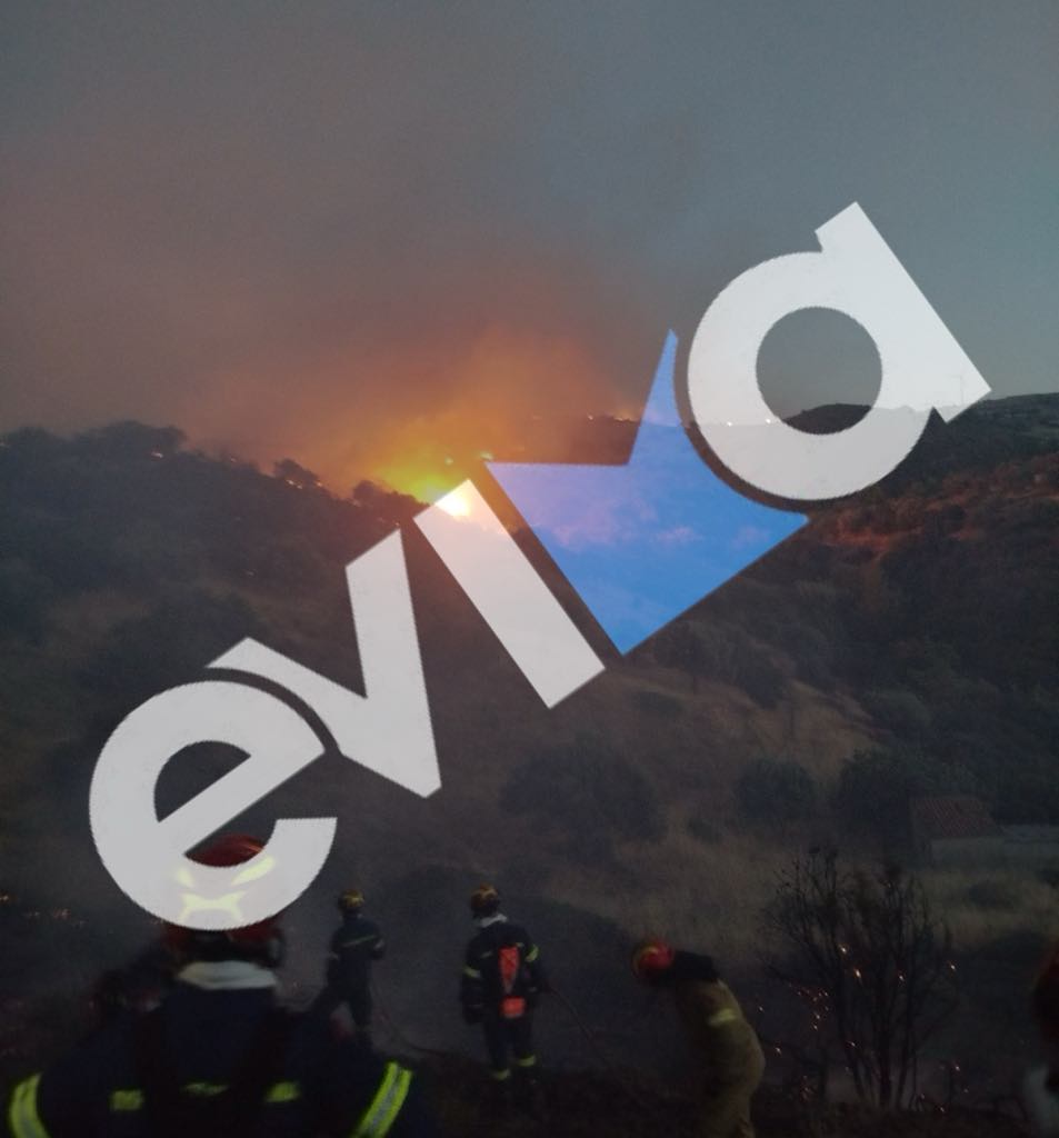 Φωτιά στην Εύβοια