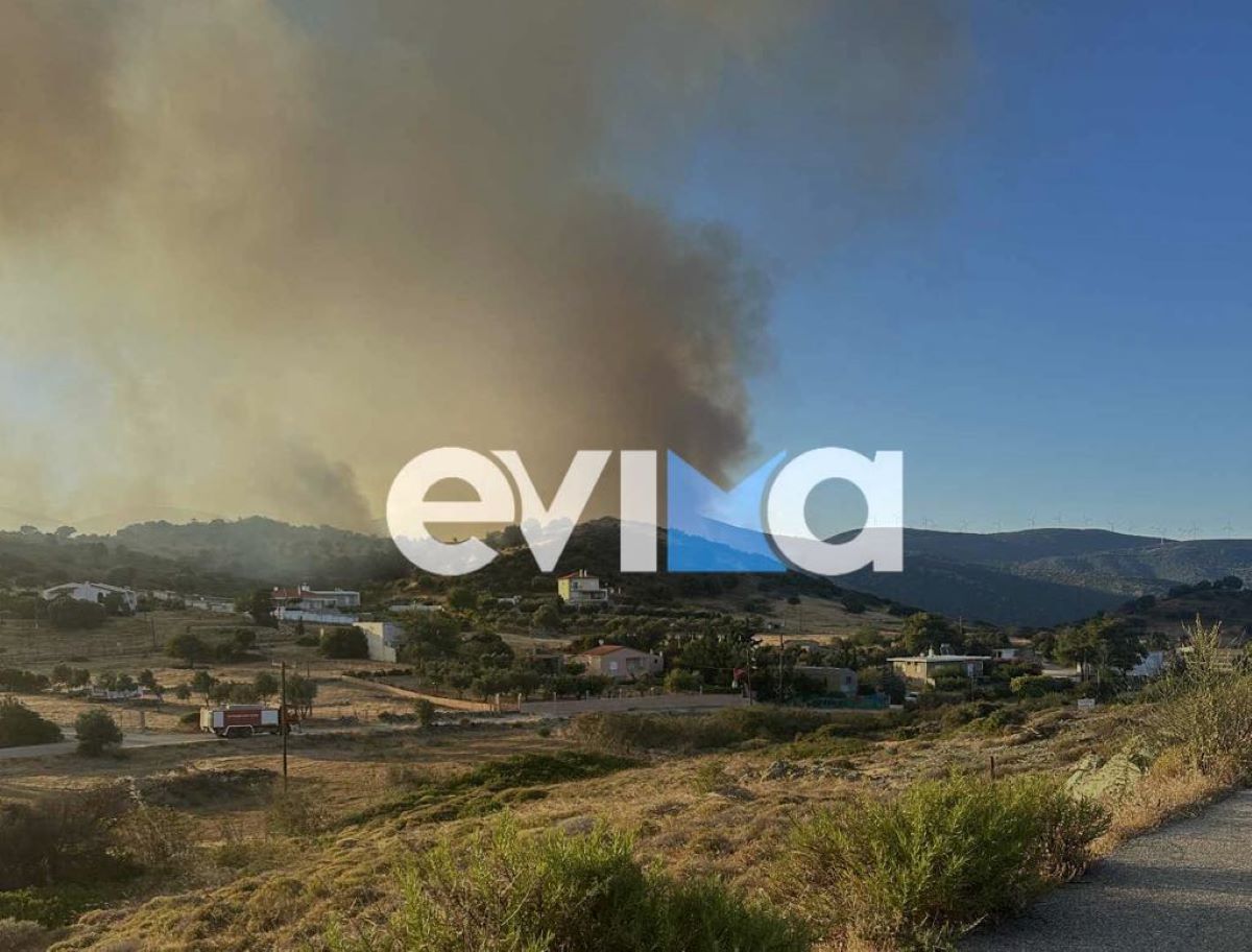 Φωτιά στην Εύβοια 