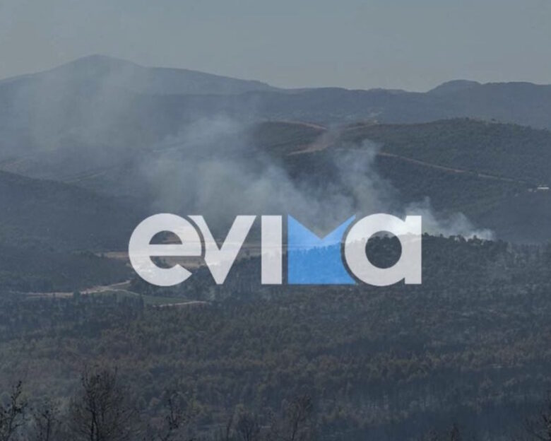 Φωτιά στην Εύβοια: Μάχη με τις αναζωπυρώσεις – Κάηκαν χιλιάδες ζώα σε κτηνοτροφικές μονάδες