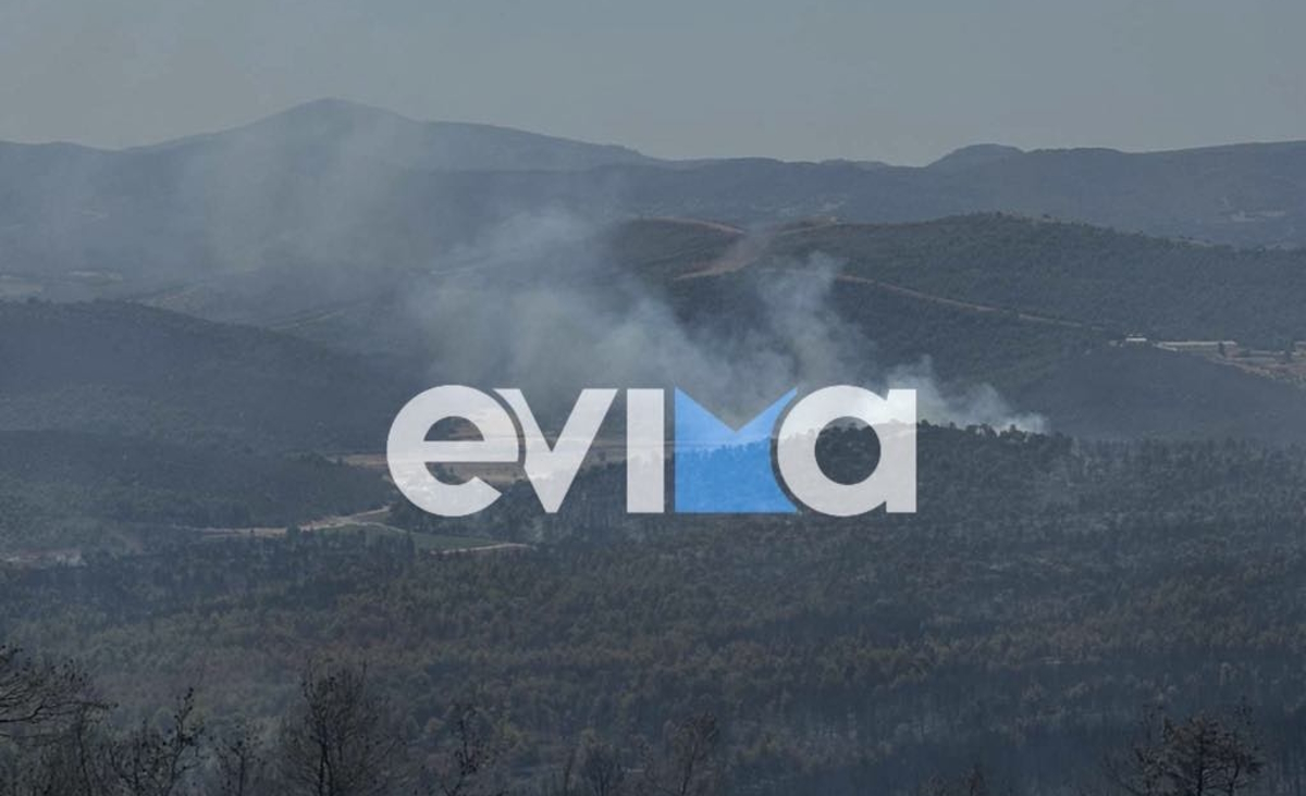 Φωτιά στην Εύβοια