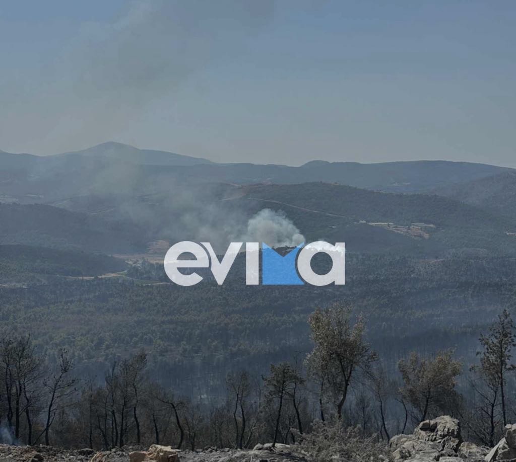Φωτιά στην Εύβοια