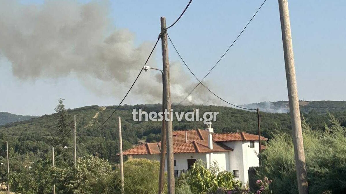 Φωτιά στο Φίλυρο Θεσσαλονίκης