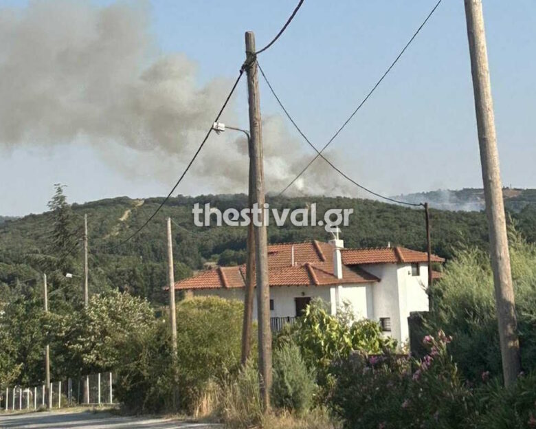 Φωτιά στην περιοχή Προφήτης Ηλίας στο Φίλυρο Θεσσαλονίκης