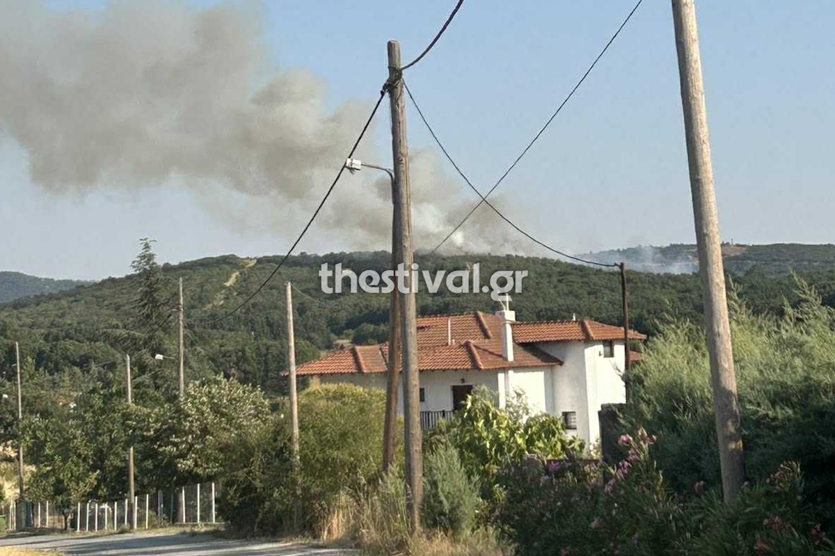 Φωτιά στο Φίλυρο Θεσσαλονίκης