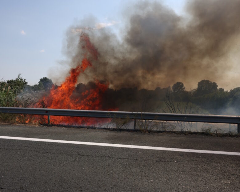 Φωτιά στην Ημαθία στην περιοχή Αλεξάνδρεια
