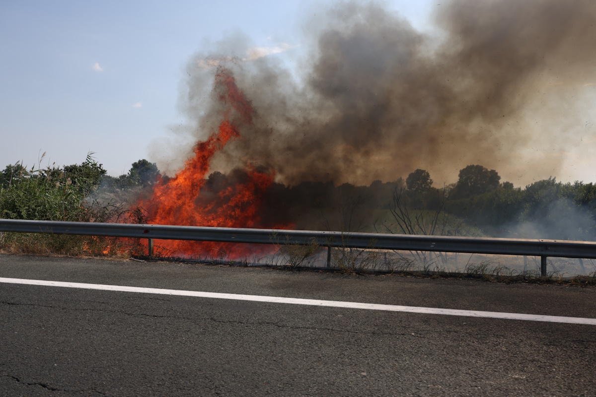 Πυρκαγιά στην Αλεξάνδρεια Ημαθίας, παραπλεύρως της Εγνατίας Οδού