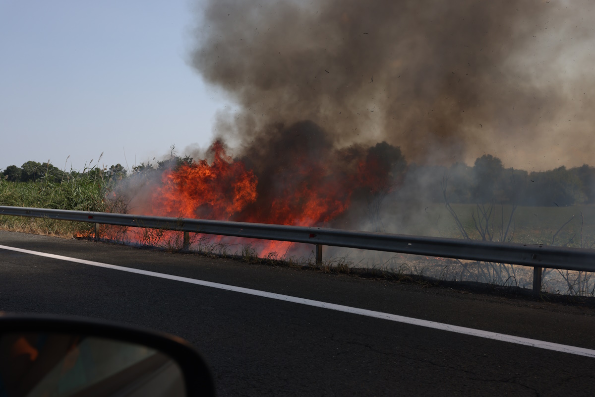 Πυρκαγιά στην Αλεξάνδρεια Ημαθίας, παραπλεύρως της Εγνατίας Οδού