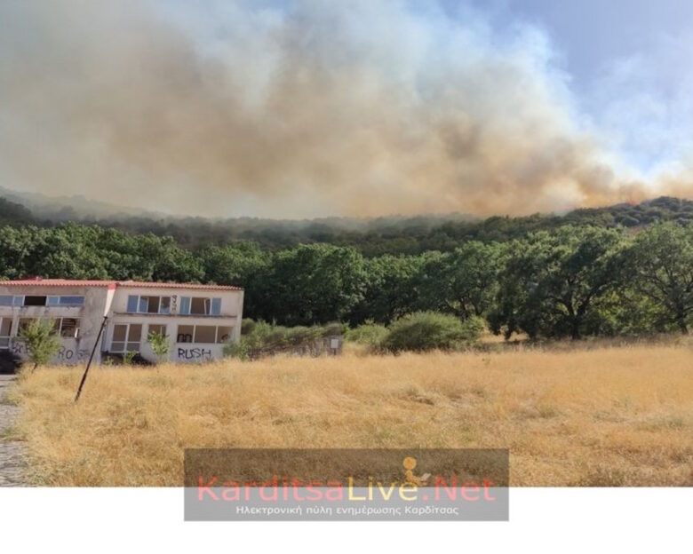 Φωτιά σε δασική έκταση στην Καρδίτσα – Επιχειρούν εναέρια μέσα