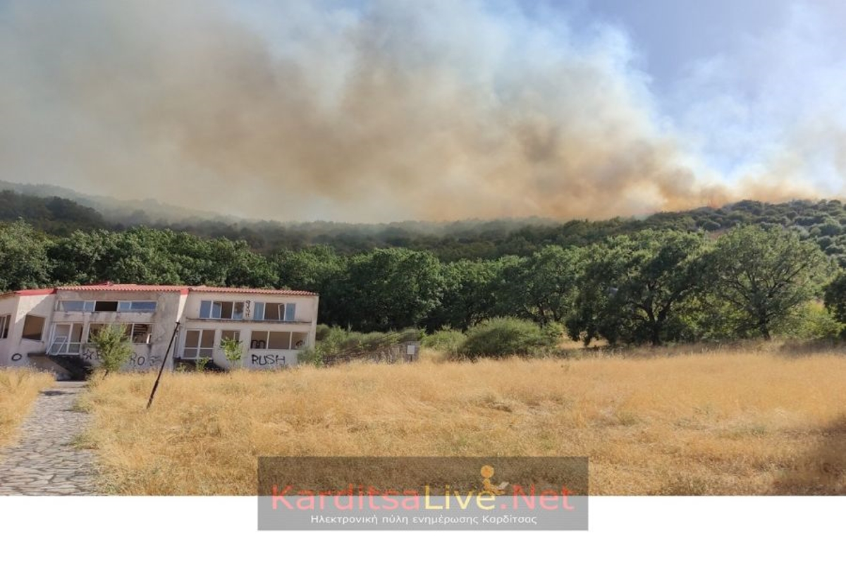 Φωτιά στην Καρδίτσα