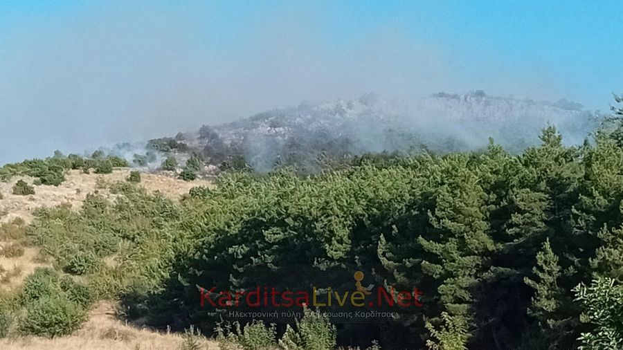 Φωτιά στην Καρδίτσα / φωτο από karditsalive.net