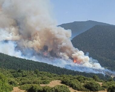 Φωτιά στην Κορινθία