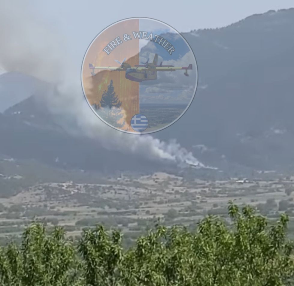 Φωτιά στον Φενεό