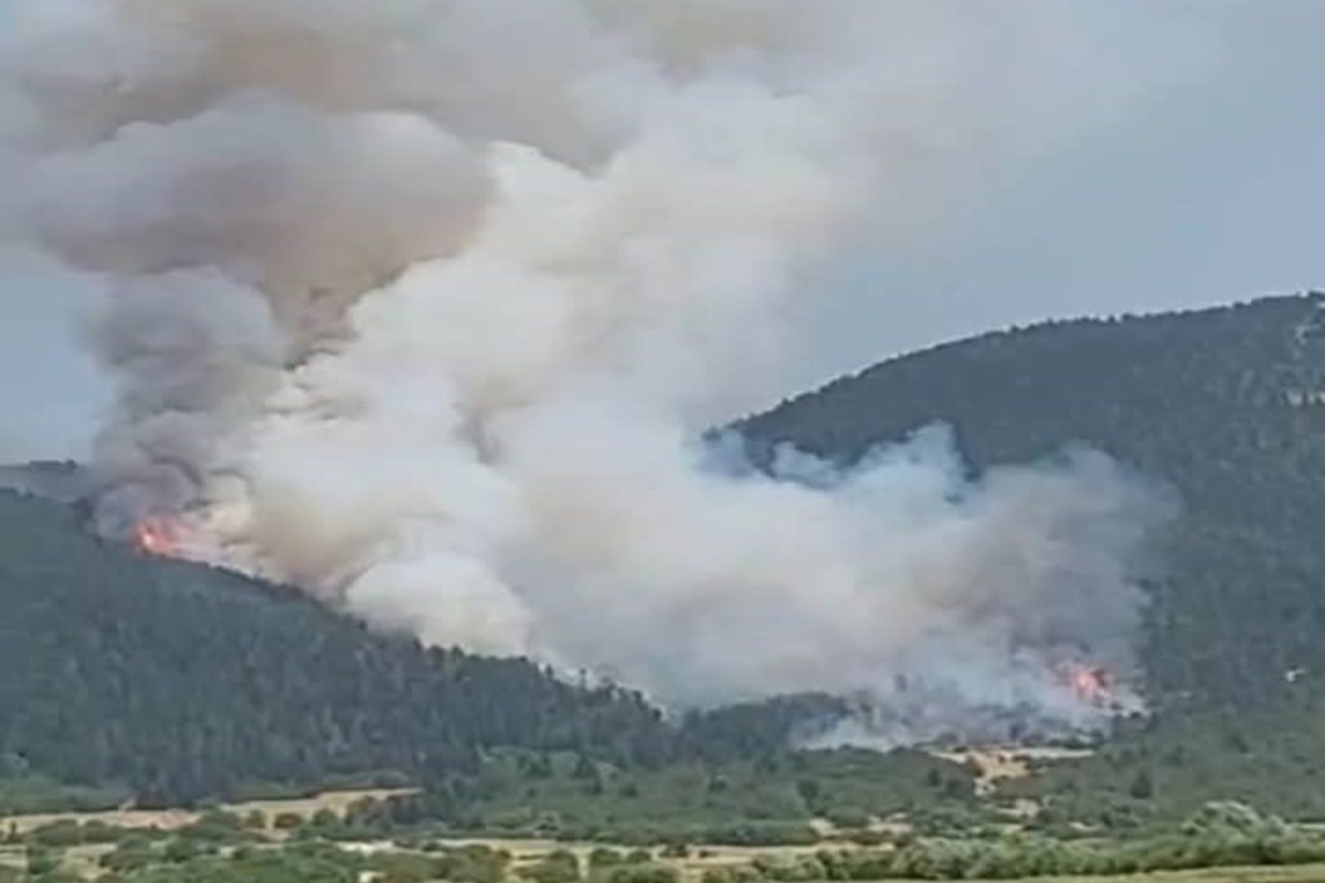 Φωτιά στον Φενεό