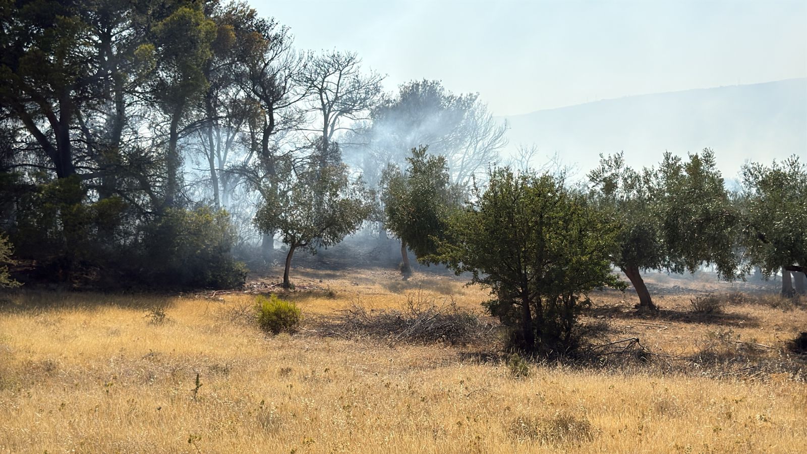Φωτιά στη λεωφόρο Βάρης - Κορωπίου