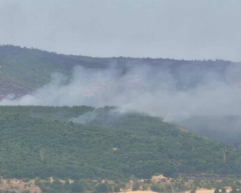 Φωτιά στην Κοζάνη: Οι δυνατοί άνεμοι ευνοούν την επέκτασή της – Συνεχείς αναζωπυρώσεις σε μέτωπο 15 χιλιομέτρων