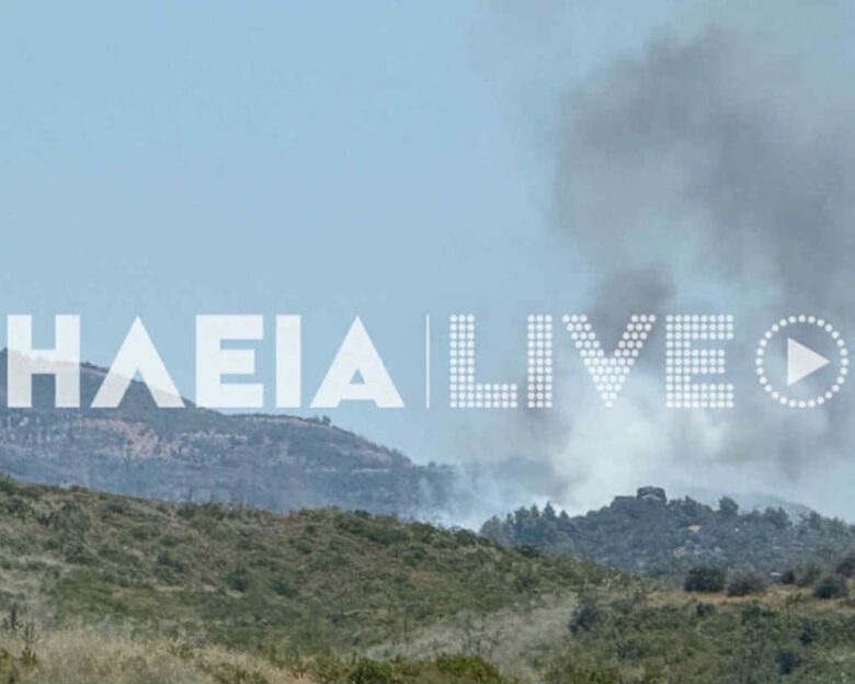 Φωτιά στην Κάμενα Αρχαία Ολυμπία – Πνέουν ισχυροί άνεμοι στην περιοχή
