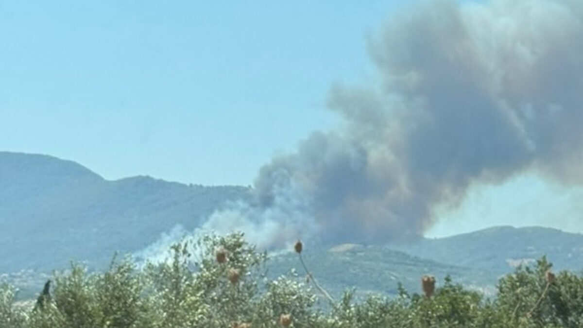 Φωτιά στη Μεσσηνία