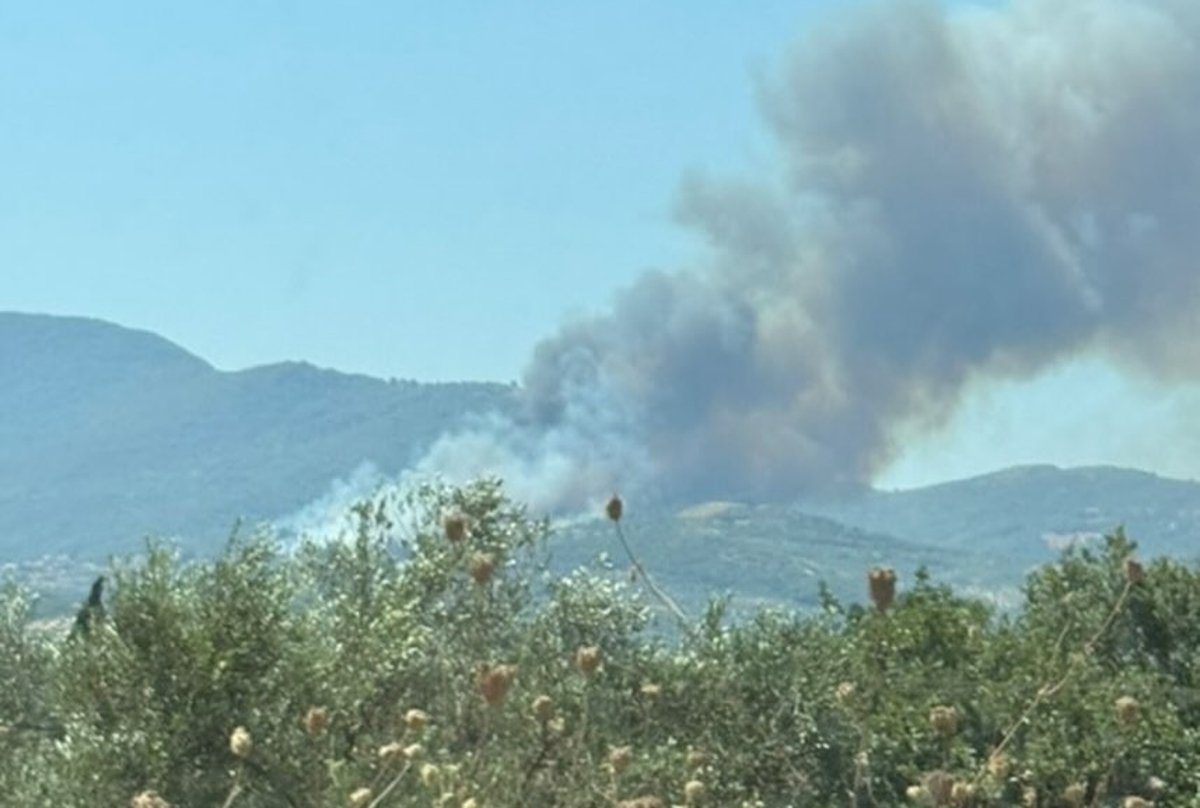 Φωτιά στη Μεσσηνία