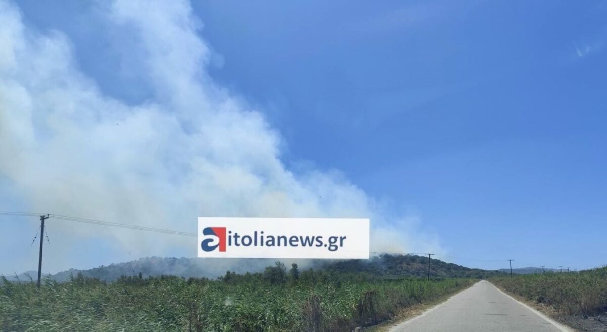 Φωτιά στις Οινιάδες Μεσολογγίου