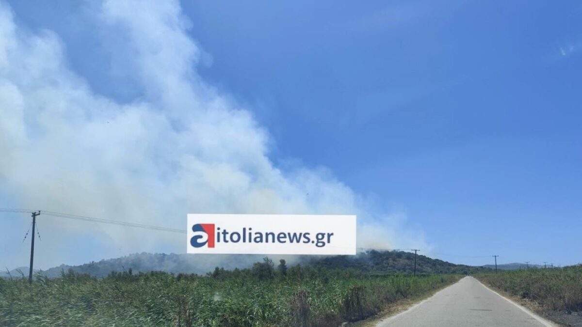 Φωτιά στις Οινιάδες Μεσολογγίου