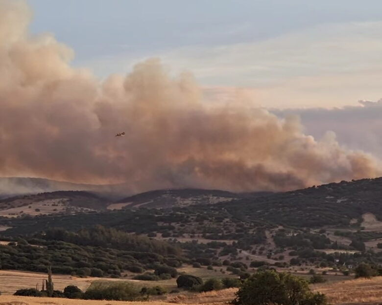 Φωτιά στο Ωραιόκαστρο: Μήνυμα από το 112 – «Παραμείνετε σε ετοιμότητα»