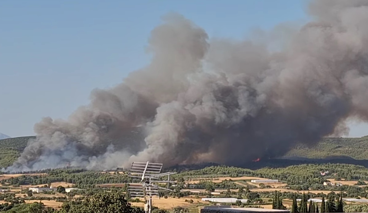 Φωτιά στον Ωρωπό