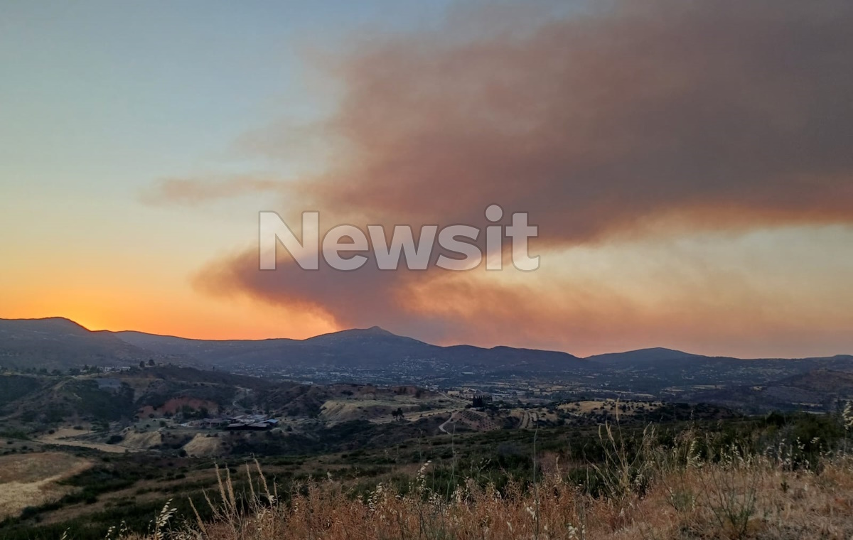 Φωτιά στον Ωρωπό