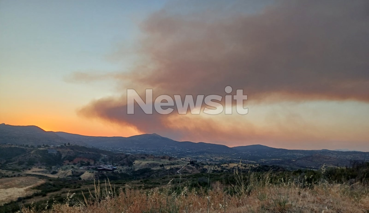 Φωτιά στον Ωρωπό