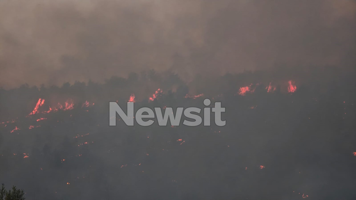 Φωτιά στον Ωρωπό