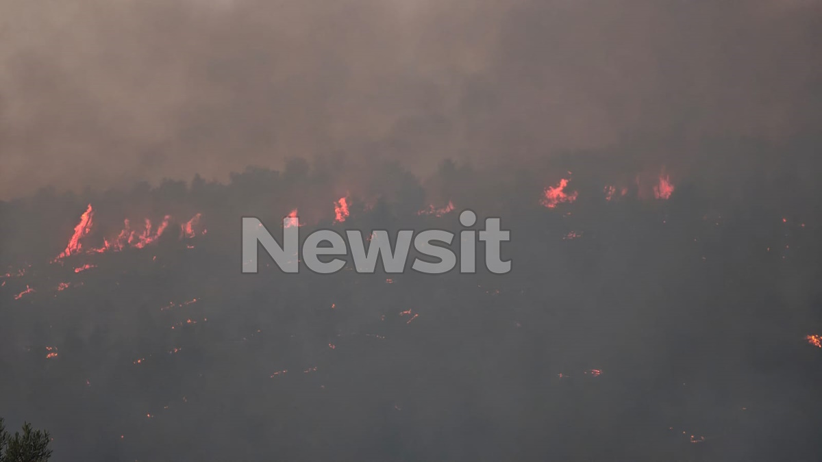 Φωτιά στον Ωρωπό