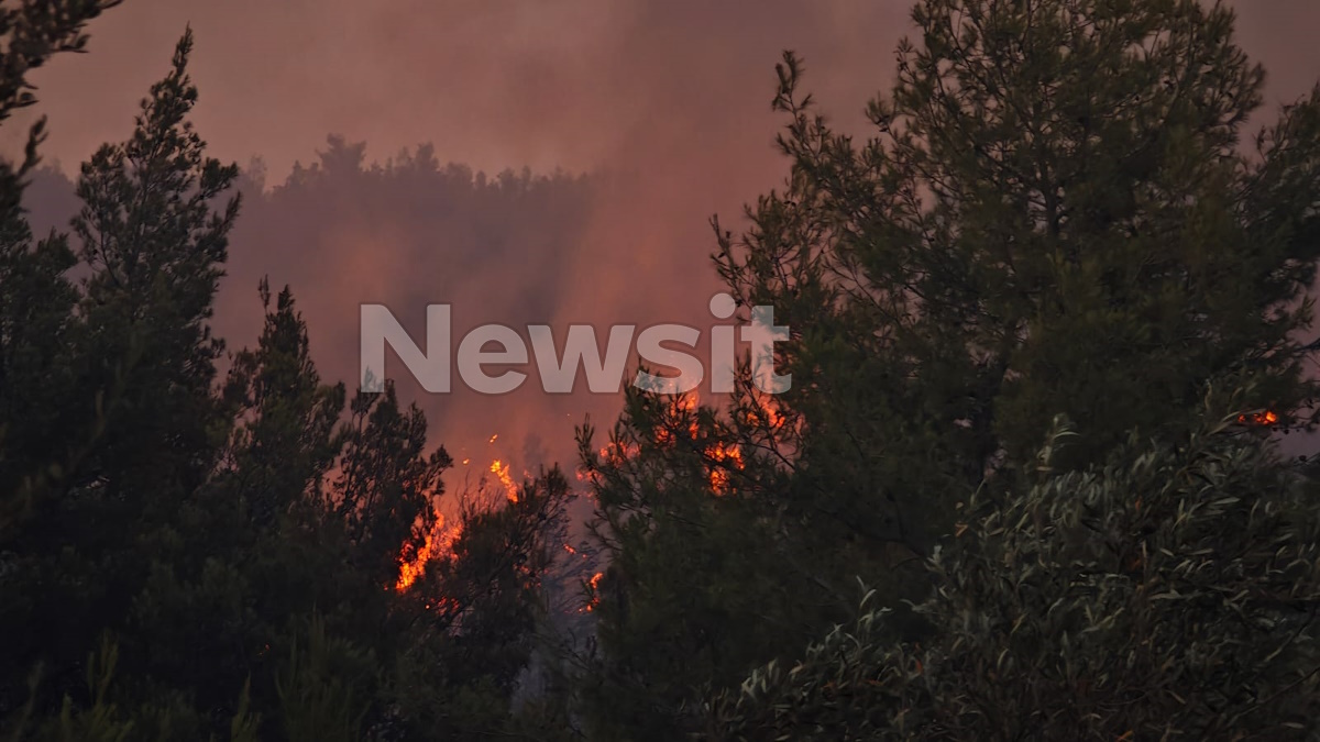 Φωτιά στον Ωρωπό: Οι φλόγες απειλούν τα πρώτα σπίτια στο Ασπροχώρι – Μήνυμα του 112 για εκκένωση