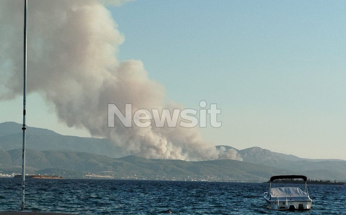 Φωτιά στον Ωρωπό