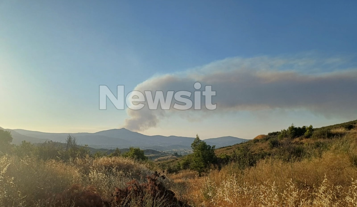 Φωτιά στον Ωρωπό
