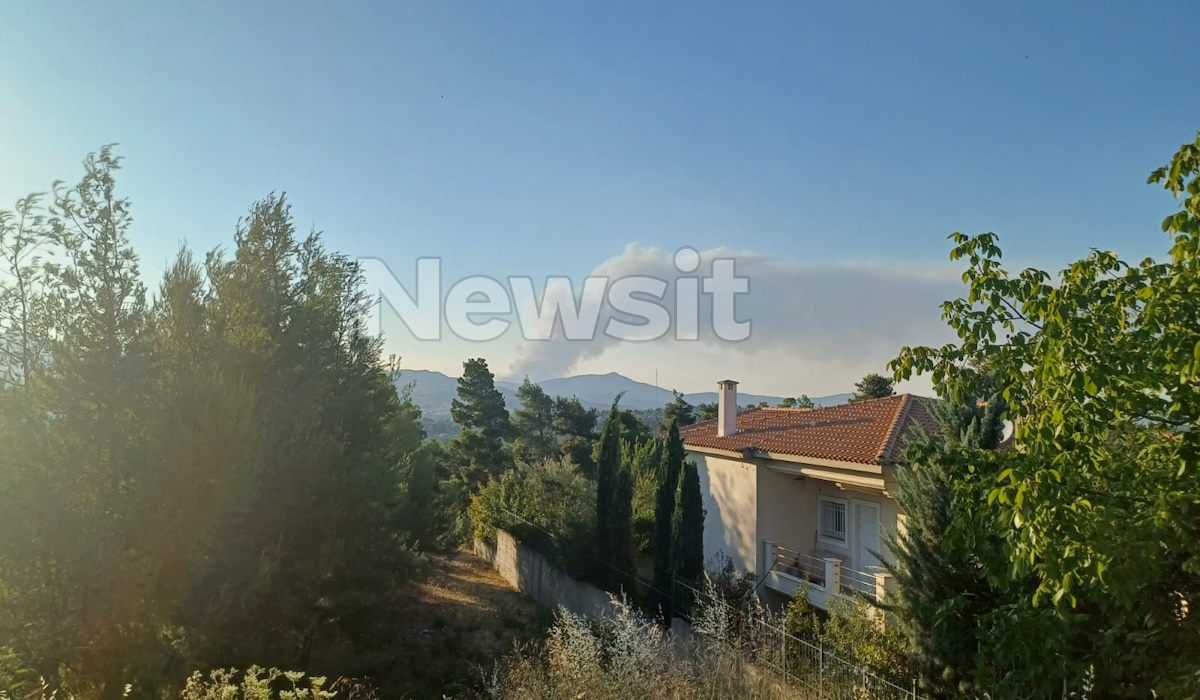 Φωτιά στον Ωρωπό