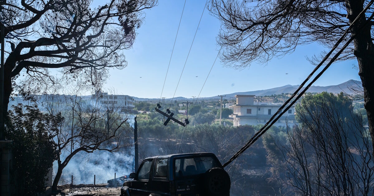 Fire in Rafina, Pickermi and Spata: Axious Appeal of a girl for her lost dog, Jack