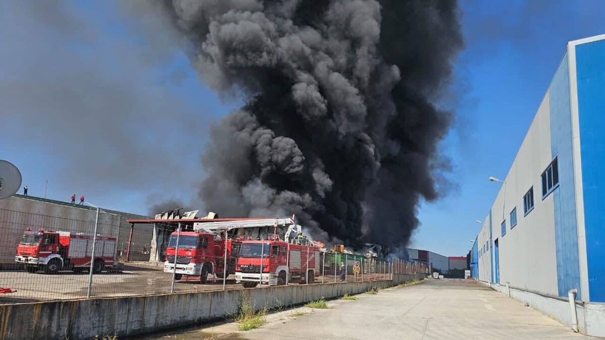 Φωτιά σε εργοστάσιο στη Ριτσώνα