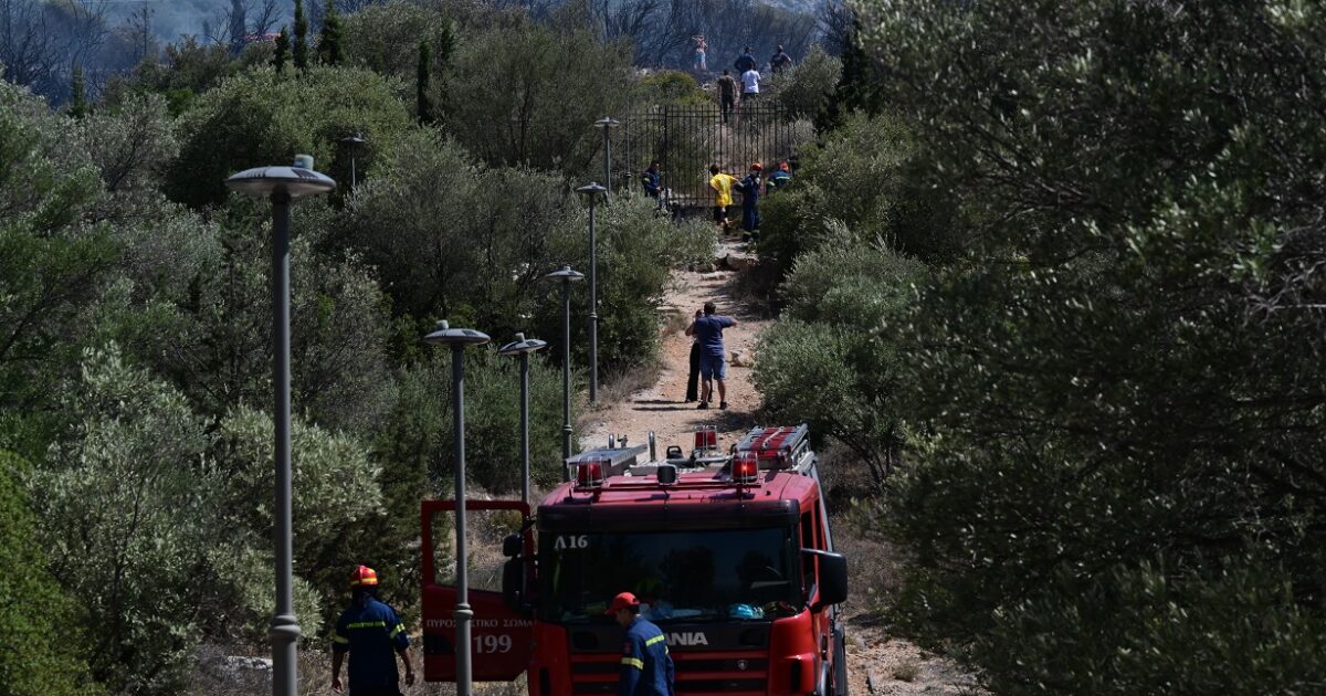 An arrest for arson in Thermi – set fire to dried grass