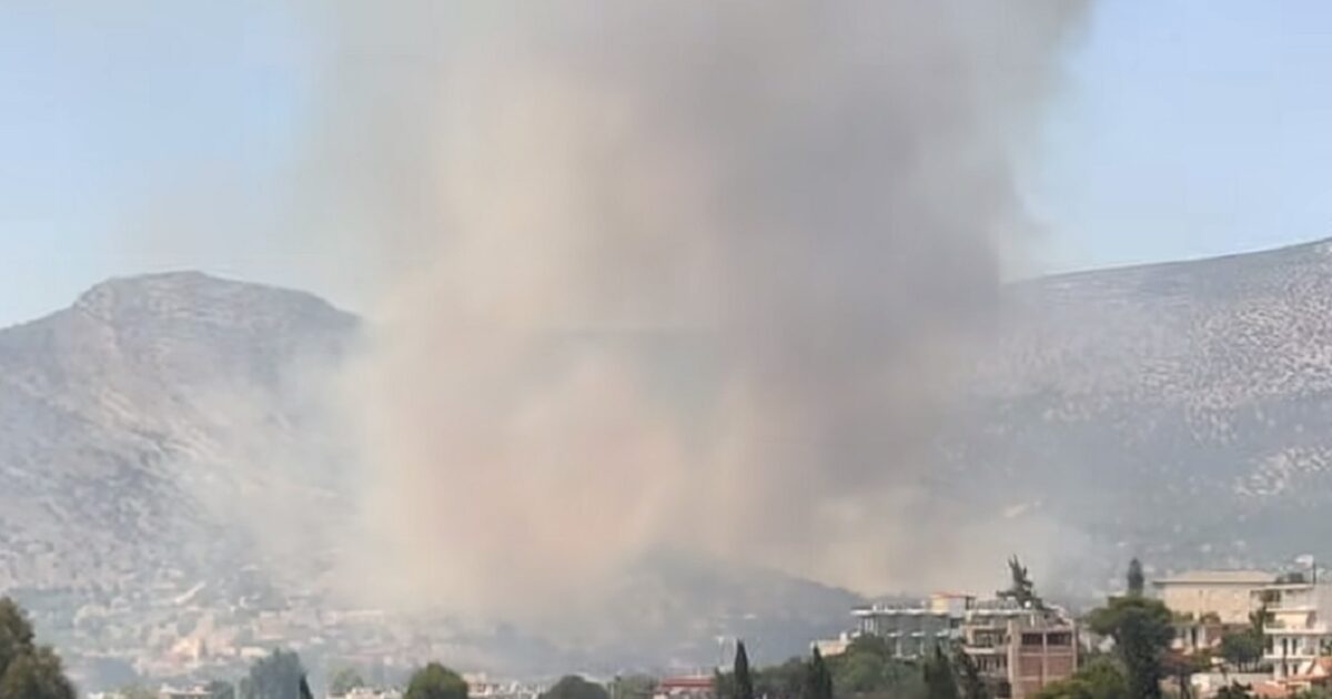 Συνελήφθη ένας 55χρονος μελισσοκόμος για την φωτιά στην Αλυκή