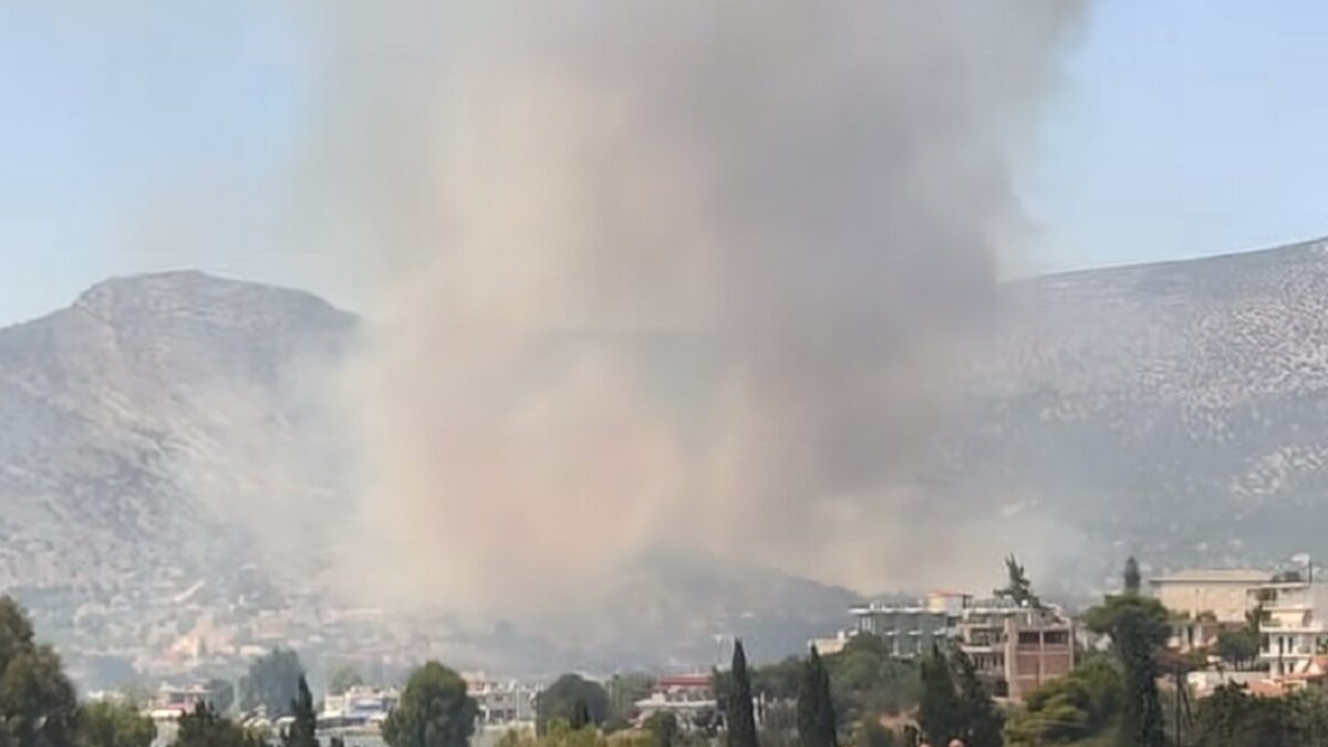 Φωτιά στην Αλυκή