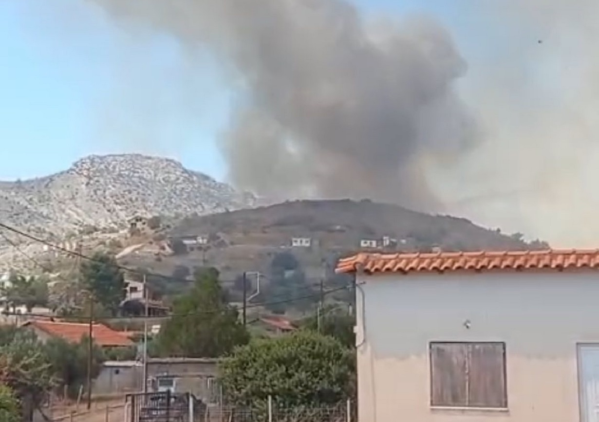 Φωτιά στην Αλυκή 