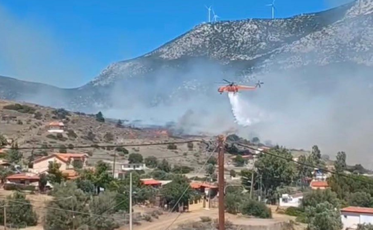 Φωτιά στην Αλυκή 