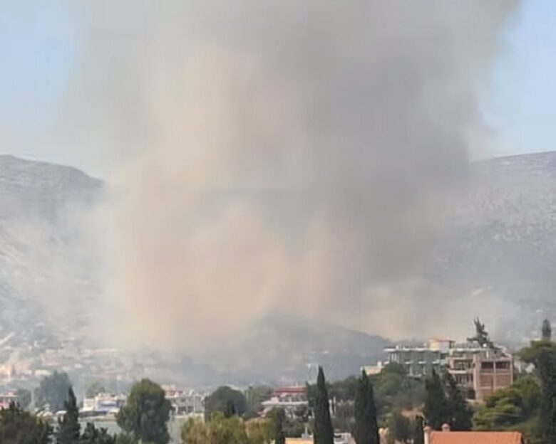 Φωτιά στην Αλυκή Βοιωτίας: Μάχη με τις αναζωπυρώσεις – Οι φλόγες έφτασαν μέχρι τις αυλές των σπιτιών