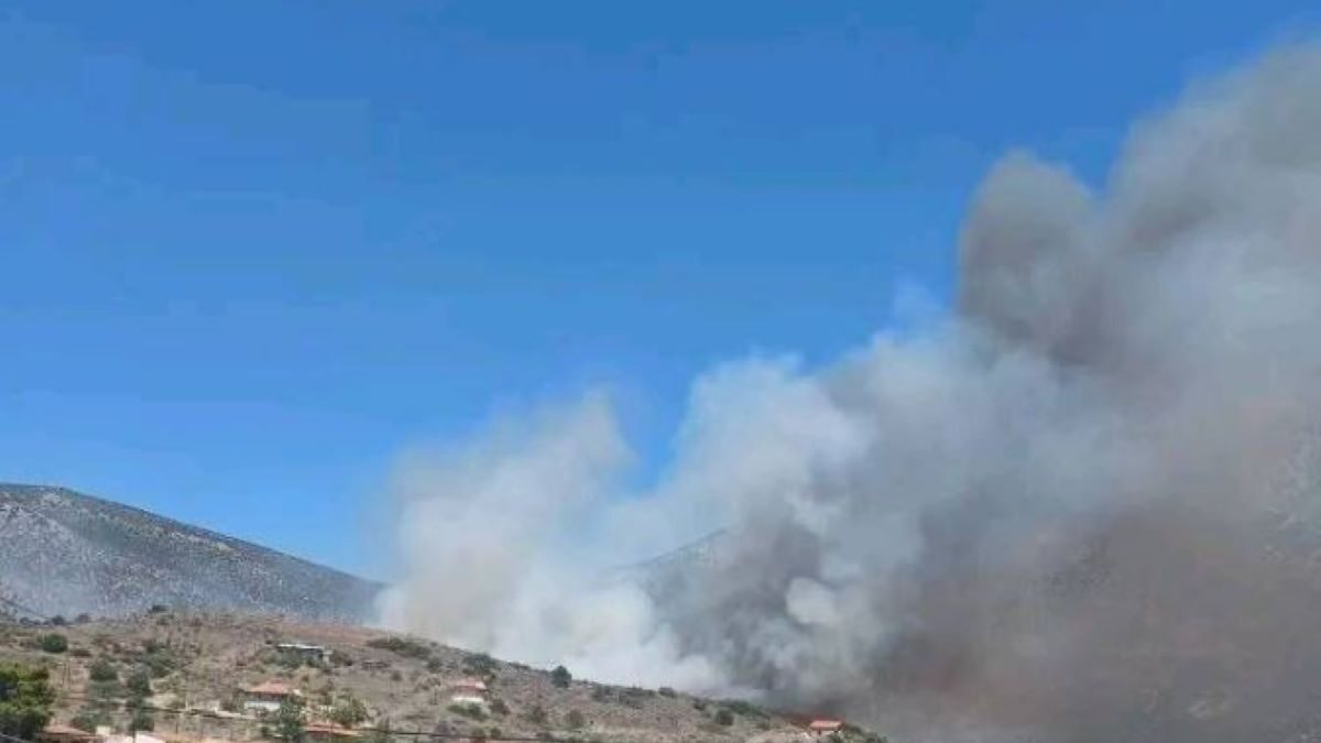 Φωτιά στην Αλυκή Βοιωτίας