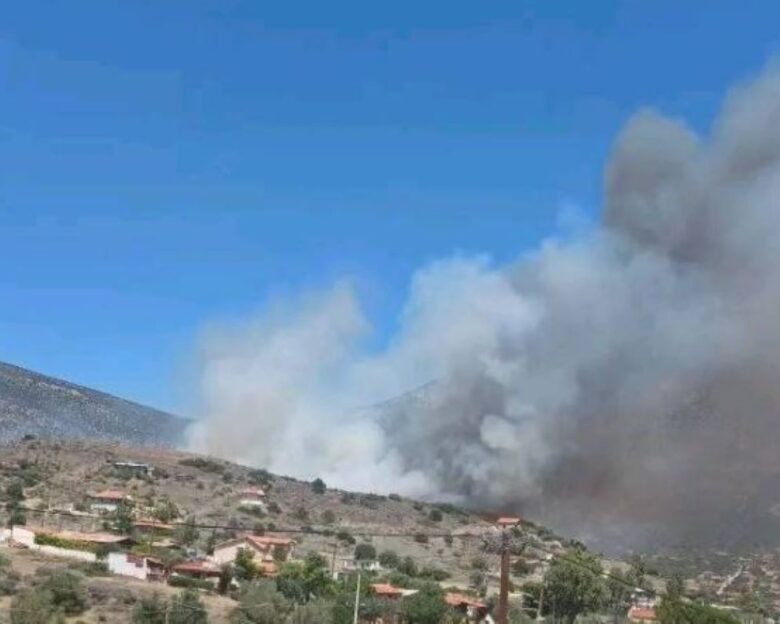 Φωτιά στην Αλυκή Βοιωτίας: Μήνυμα από το 112 «απομακρυνθείτε προς Άγιο Νικόλαο»