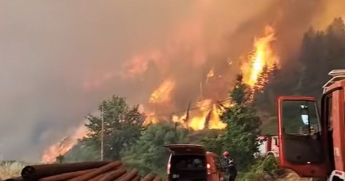Fire in Feneos: Two firefighters in the hospital, one with burns – strengthens forces