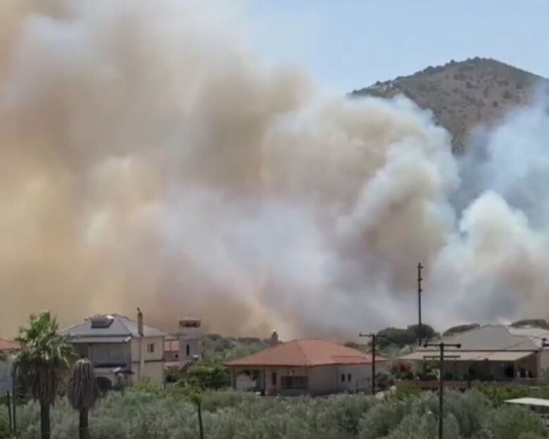 Φωτιές σε Κιλκίς, Θεσπρωτία και Καστοριά: Αλλεπάλληλα μηνύματα από το 112, μαίνεται η μάχη με τις φλόγες