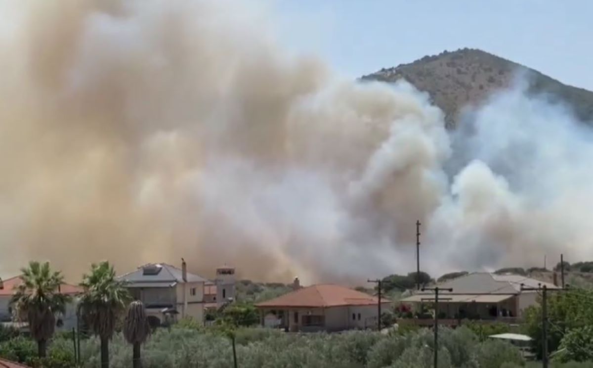 Φωτιά στο Γαρδίκι Θεσπρωτίας