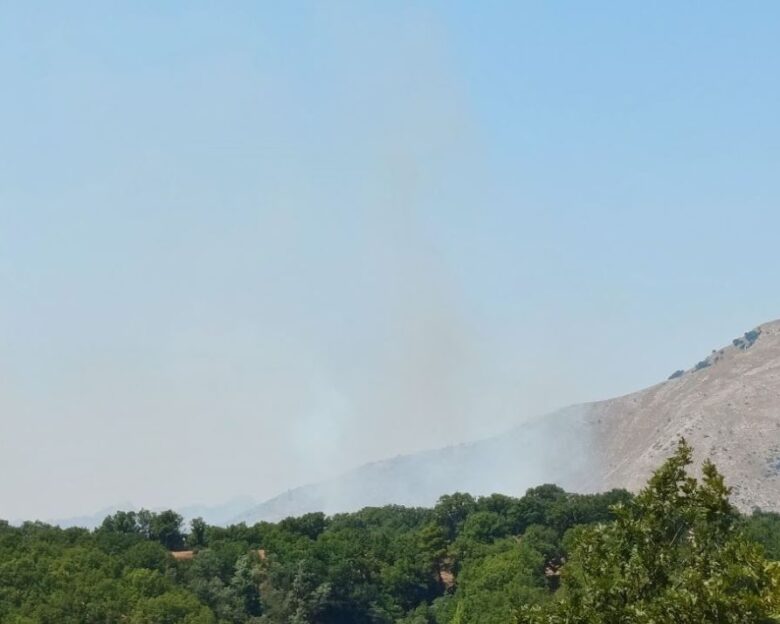 Φωτιά στην Αρχαία Ολυμπία, στην περιοχή Άγιος Γεώργιος – Επιχειρούν 8 εναέρια μέσα