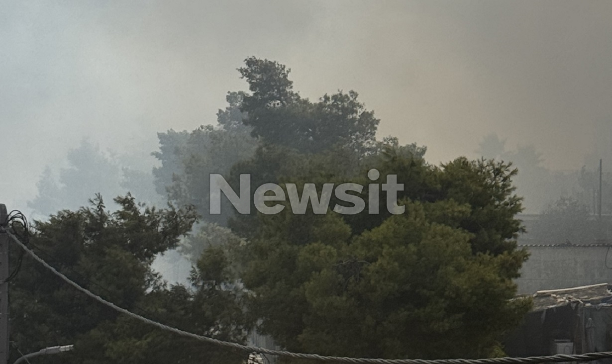 Φωτιά στο Κερατσίνι