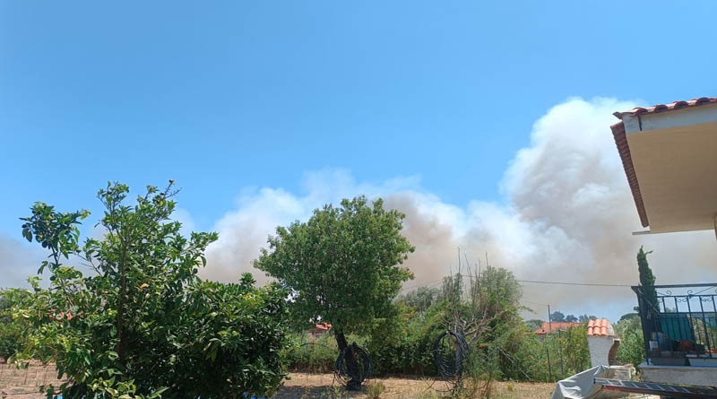 Καπνός